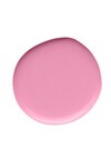 Pembe Oje 69 - Yüksek Pigmentli Uzun Süreli Kalıcılık Hızlı Kuruma - Nail Lacquer 69
